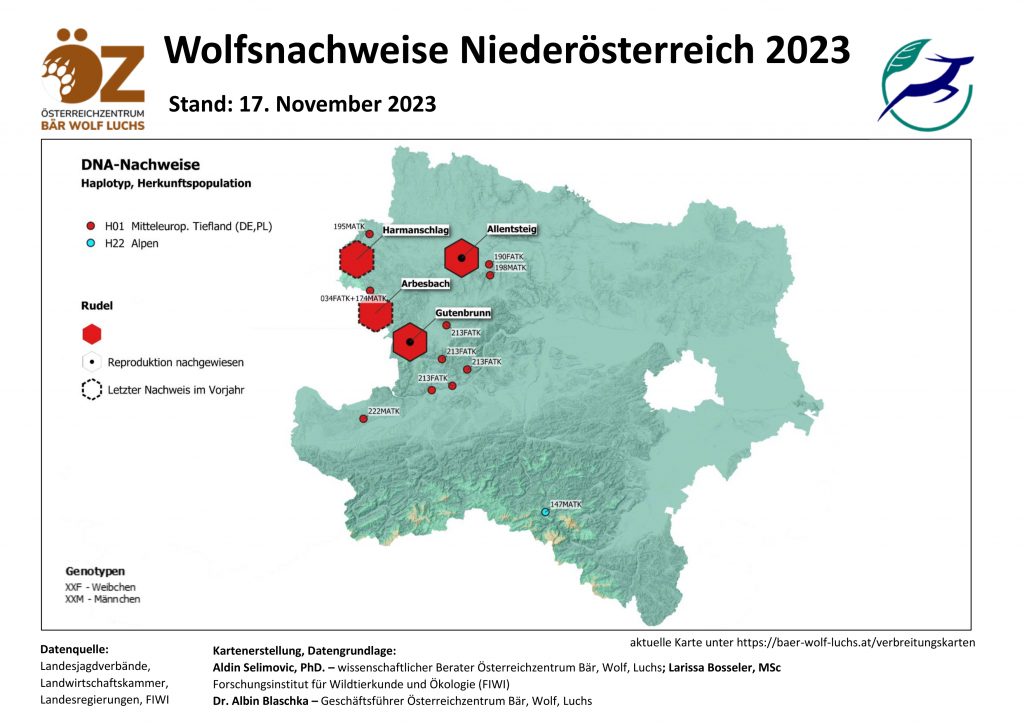 OeZ_Wolfsnachweise_2023_11_17_NOe-1024x724 Wolf - Verbreitung Österreich