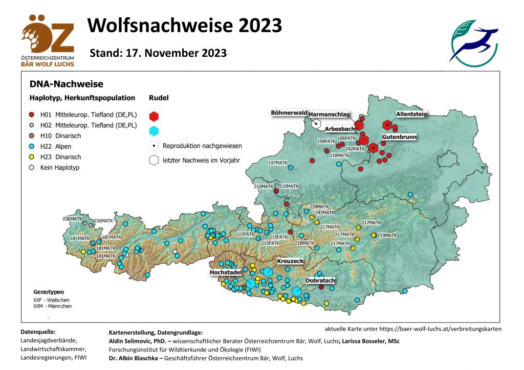 OeZ_Wolfsnachweise_2023_11_17_Oesterreich-1024x724 Wolf - Verbreitung Österreich