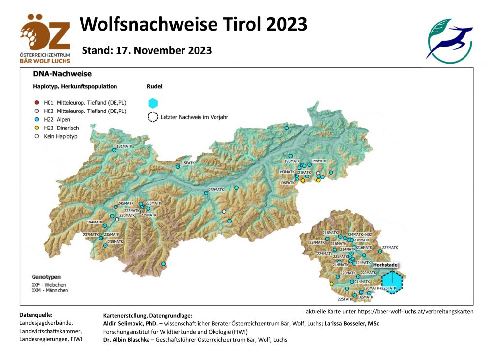OeZ_Wolfsnachweise_2023_11_17_Tirol-1024x724 Wolf - Verbreitung Österreich