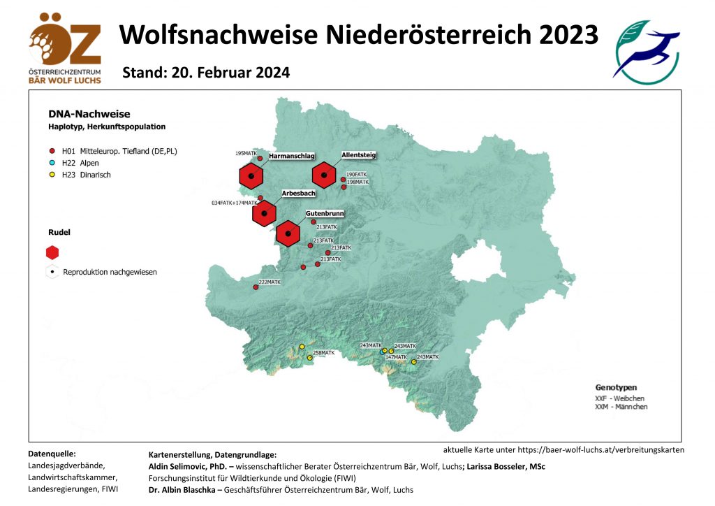 OeZ_Wolfsnachweise_2023_12_31_NOe_korrigiert-1024x724 Wolf - Verbreitung Österreich