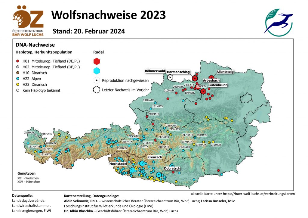OeZ_Wolfsnachweise_2023_12_31_Oesterreich_korrigiert-1024x724 Wolf - Verbreitung Österreich