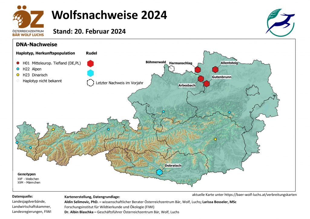 OeZ_Wolfsnachweise_2024_02_20_Oesterreich-1024x724 Wolf - Verbreitung Österreich