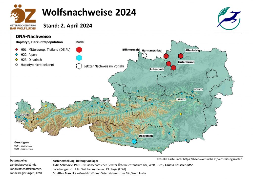 OeZ_Wolfsnachweise_2024_04_02_Oesterreich-1024x724 Wolf - Verbreitung Österreich