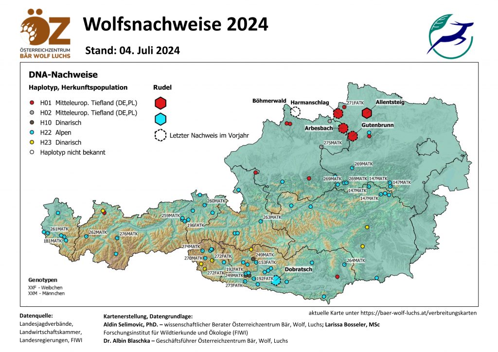 OeZ_Wolfsnachweise_2024_07_08-1024x724 Wolf - Verbreitung Österreich