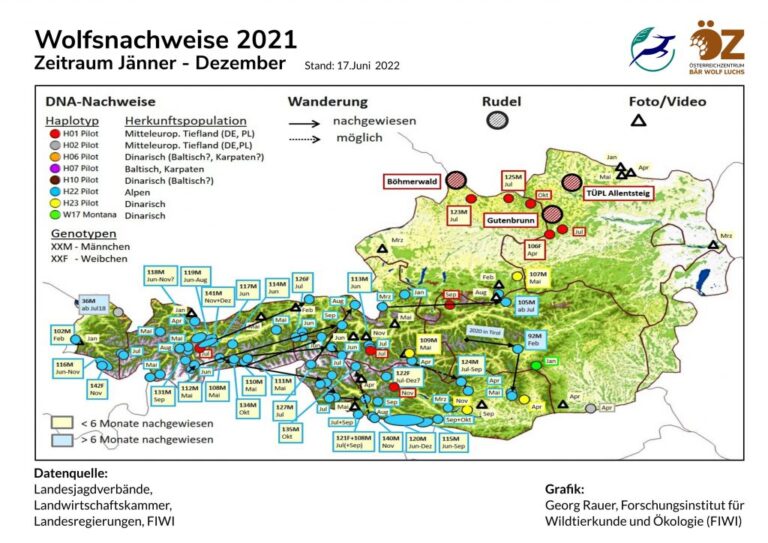 Wolf – Verbreitung Österreich – Österreichzentrum