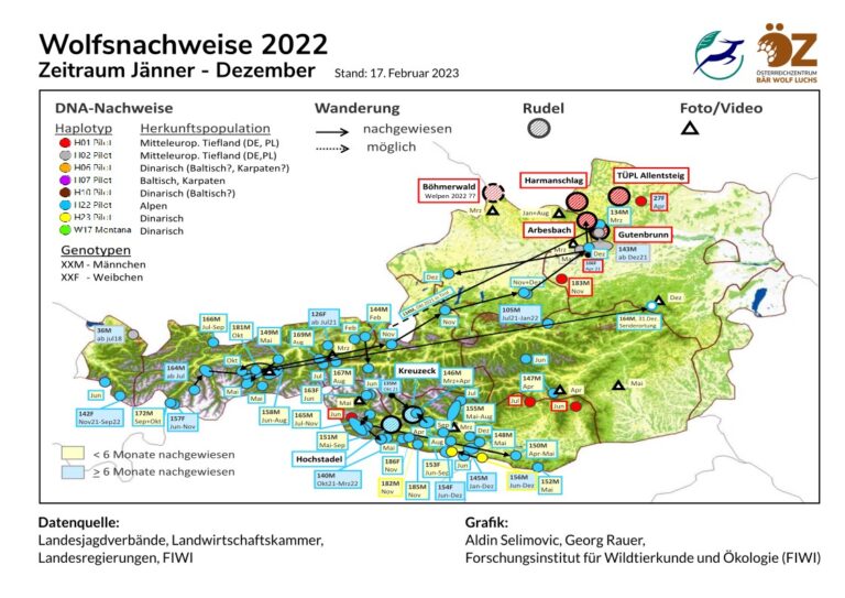 Wolf – Verbreitung Österreich – Österreichzentrum