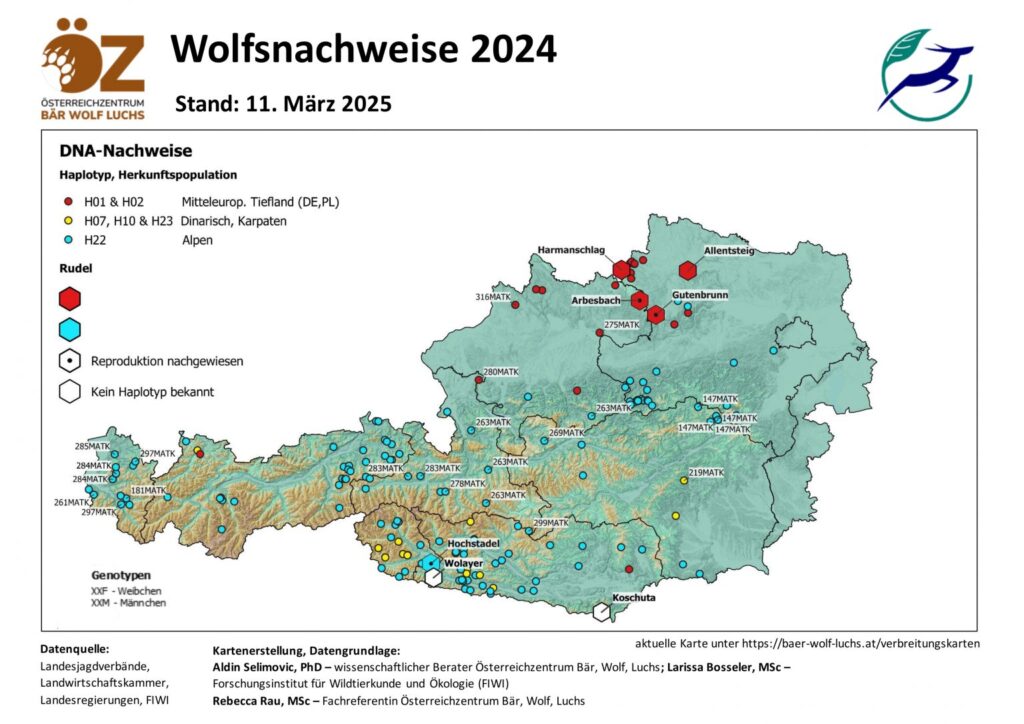 Wolf – Verbreitung Österreich – Österreichzentrum