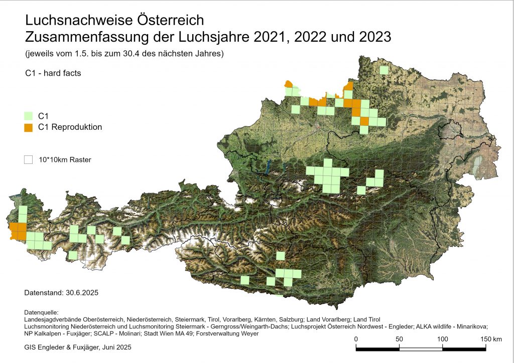 Luchs_3Jahre_2021-2023_20250630-1024x724 Luchs - Verbreitung Österreich