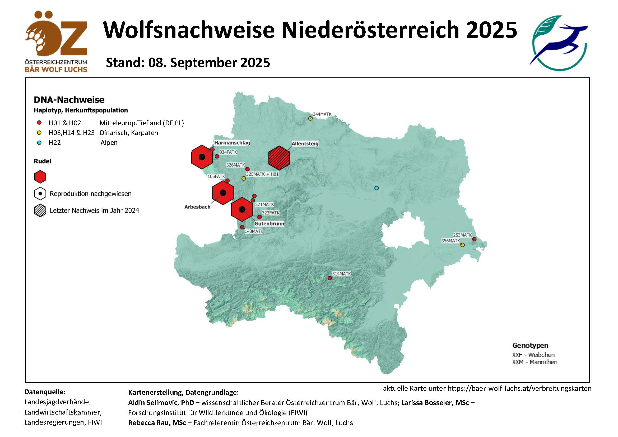 OeZ_Wolfsnachweise_2025_09_08_Noe Wolf - Verbreitung Österreich