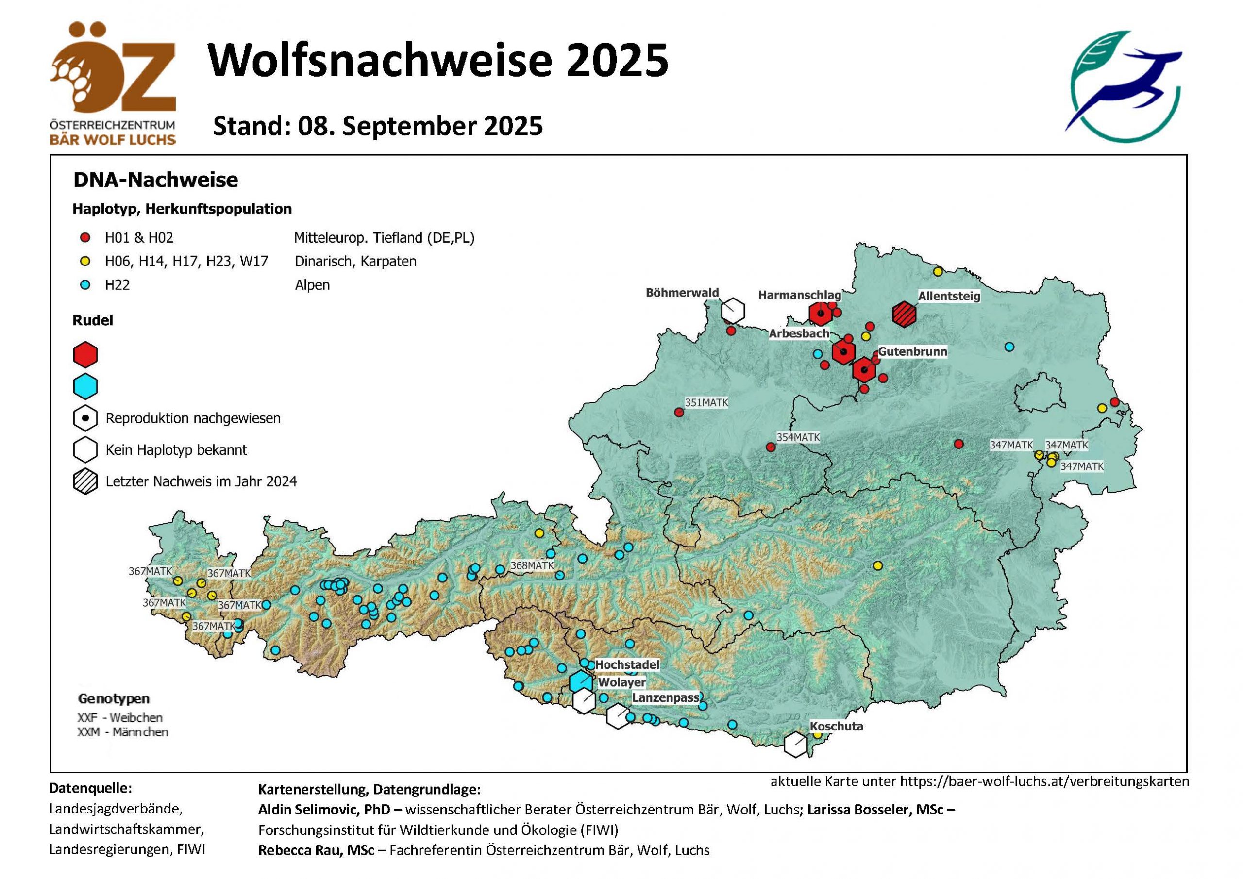 OeZ_Wolfsnachweise_2025_09_08_Oesterreich-scaled Wolf - Verbreitung Österreich
