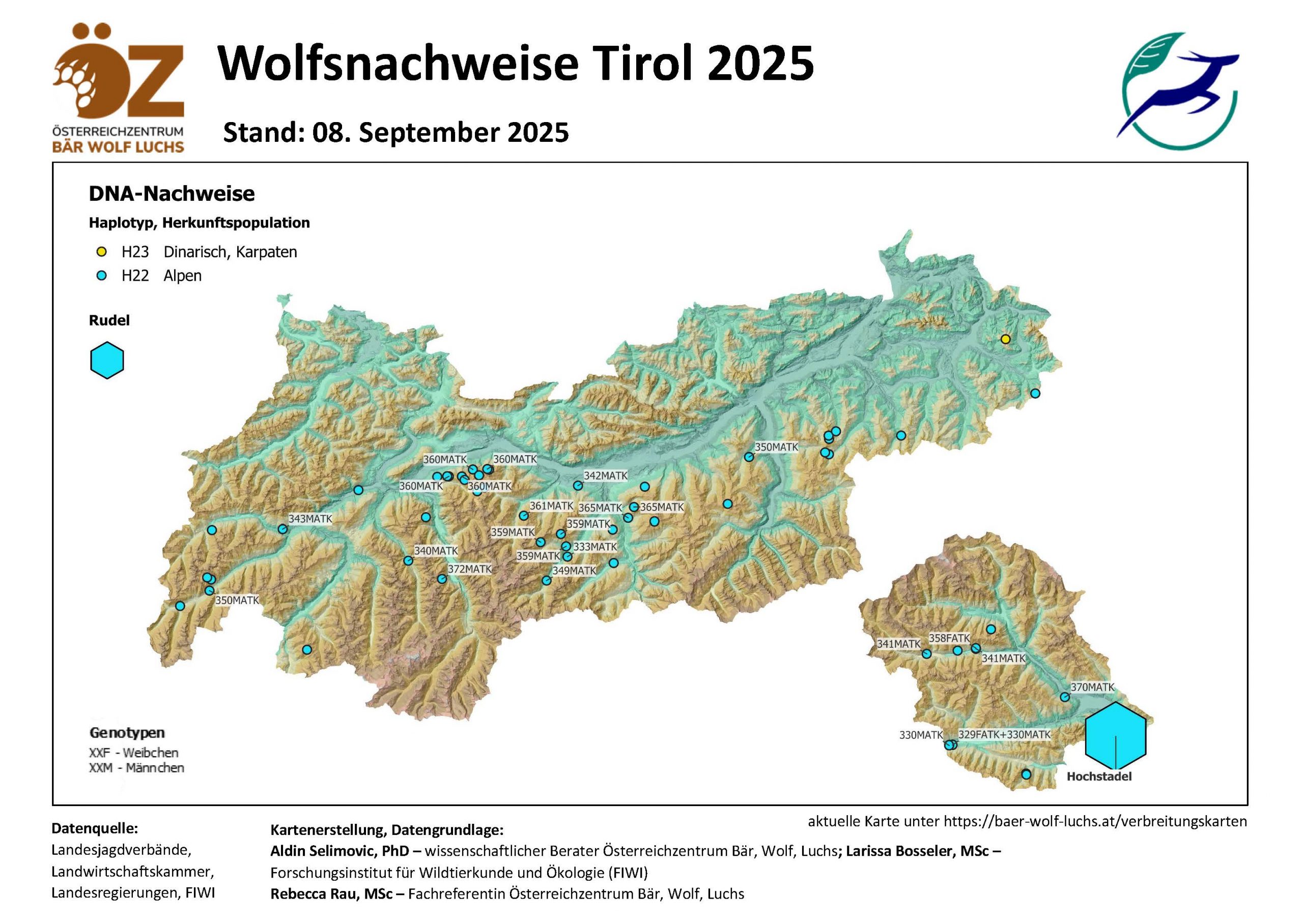 OeZ_Wolfsnachweise_2025_09_08_Tirol-scaled Wolf - Verbreitung Österreich
