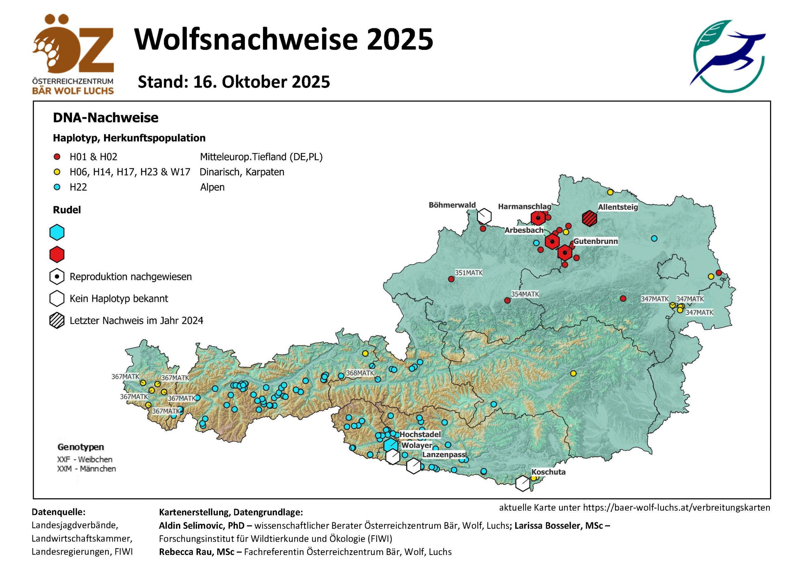 OeZ_Wolfsnachweise_2025_10_16_Oesterreich-scaled Wolf - Verbreitung Österreich