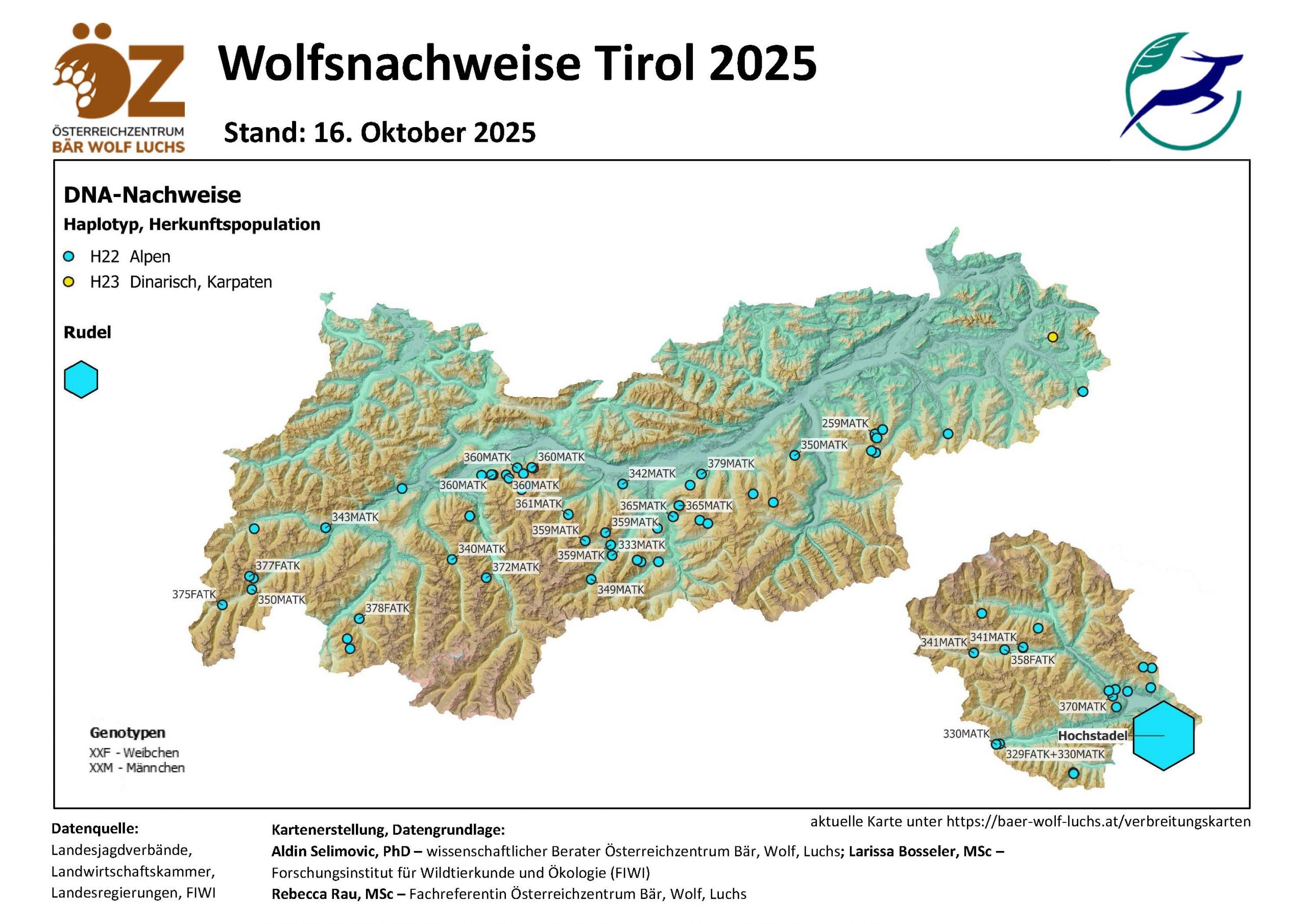 OeZ_Wolfsnachweise_2025_10_16_Tirol-scaled Wolf - Verbreitung Österreich