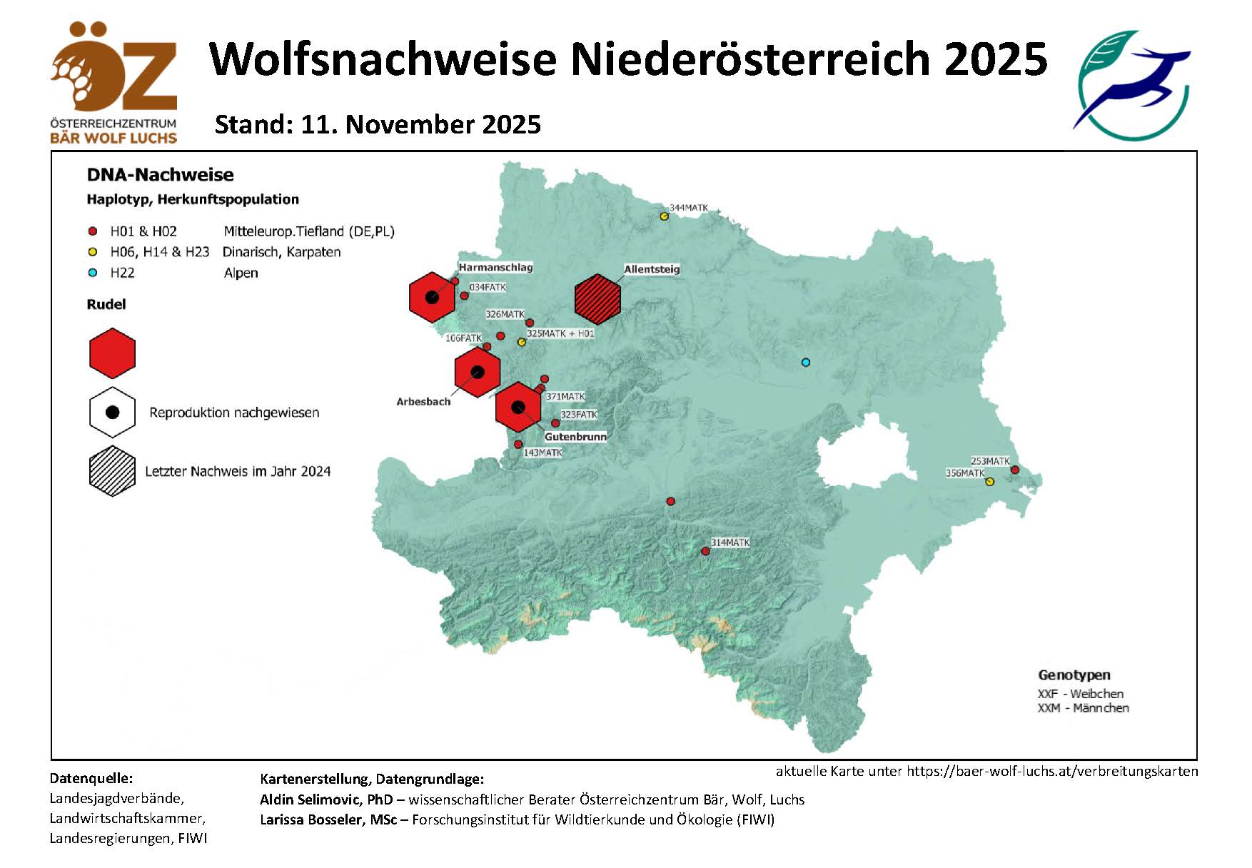 OeZ_Wolfsnachweise_2025_11_11_Noe Wolf - Verbreitung Österreich