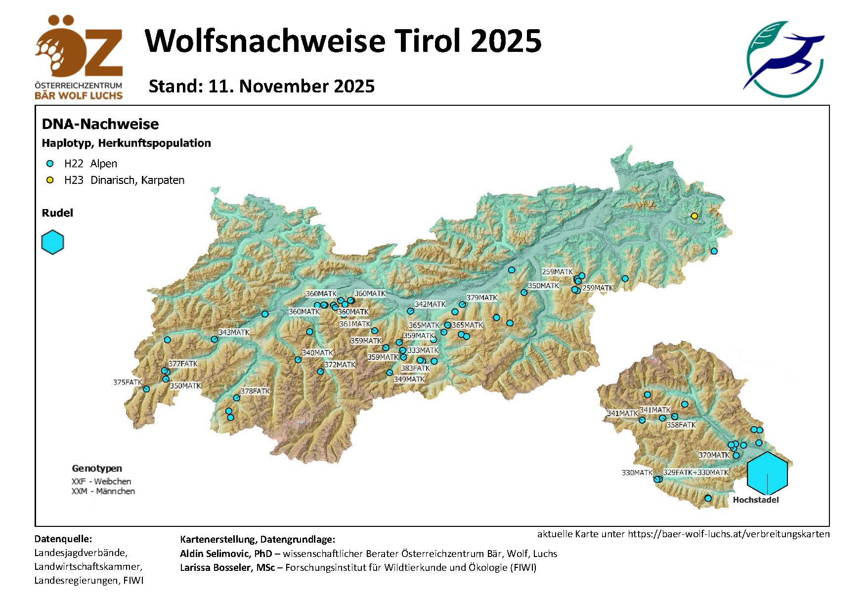 OeZ_Wolfsnachweise_2025_11_11_Tirol Wolf - Verbreitung Österreich