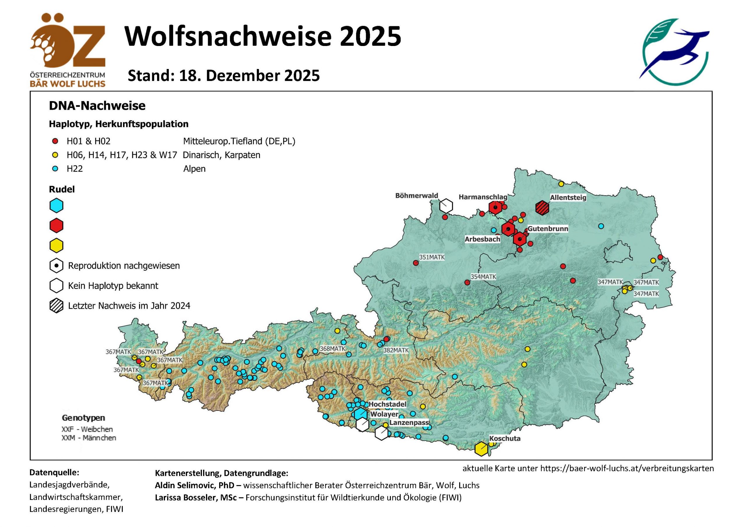OeZ_Wolfsnachweise_2025_12_18_Oesterreich-scaled Wolf - Verbreitung Österreich
