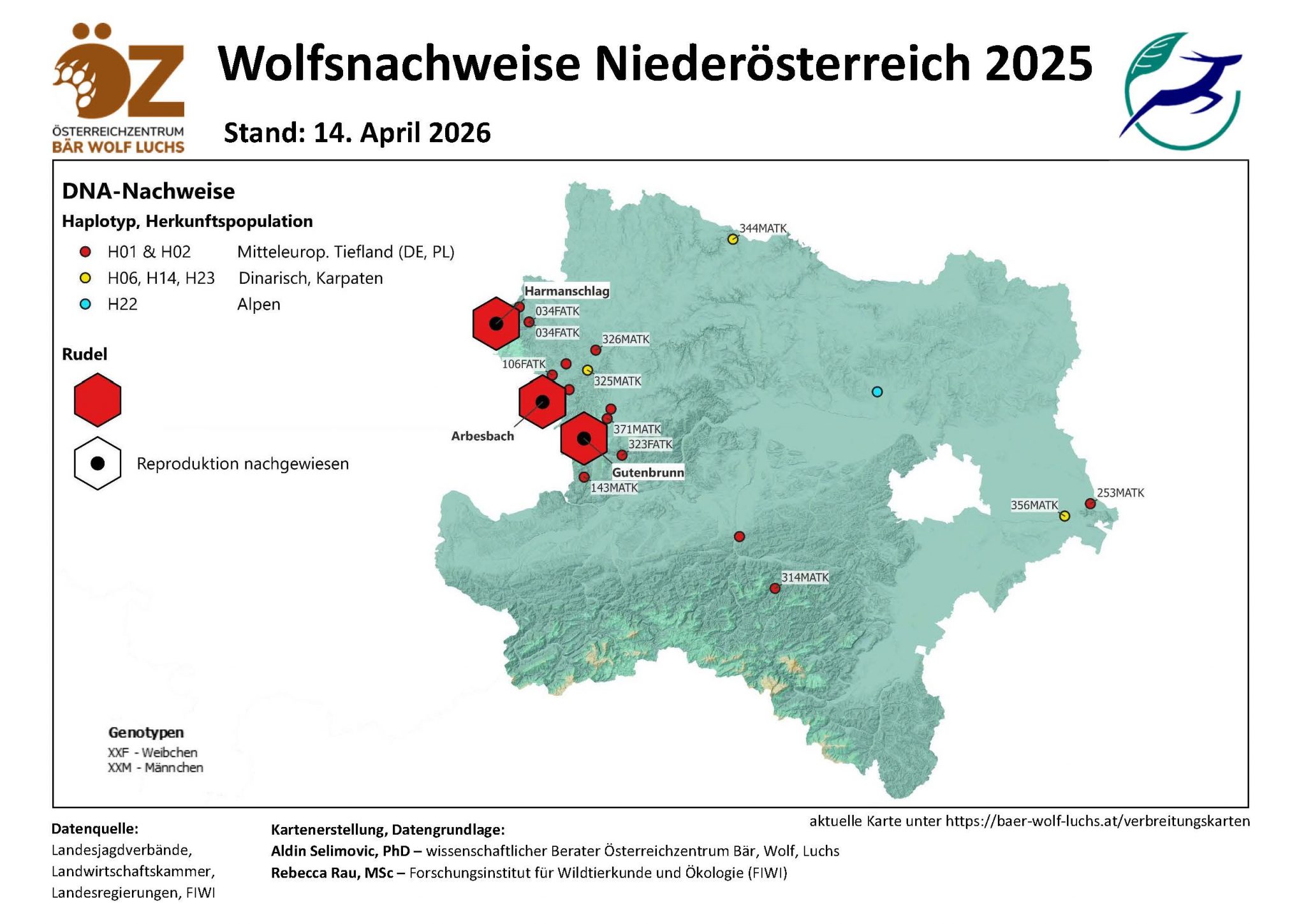 Wolf – Verbreitung Österreich – Österreichzentrum