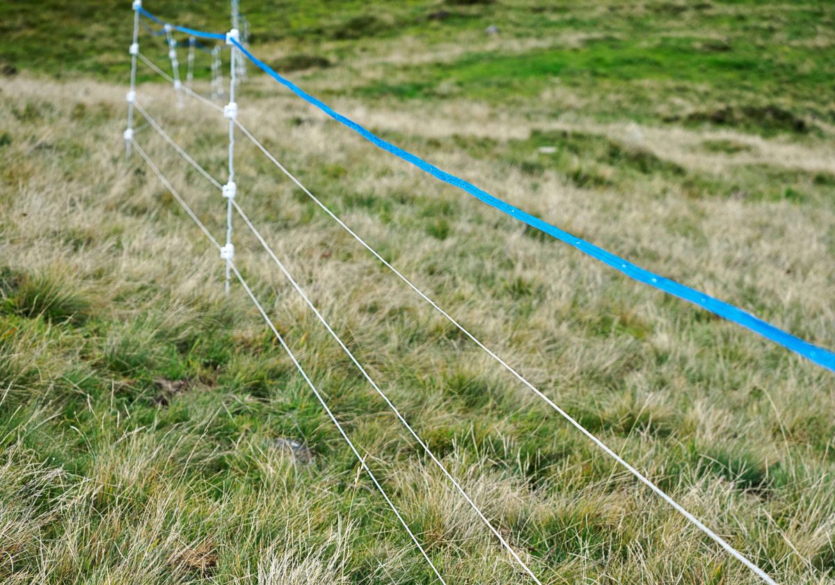 BlaueLitze_1200x900_9260326