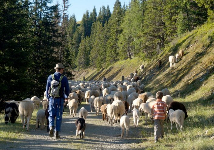 Hirte_Weg_1200x900_8199235Zuschnitt-768x494