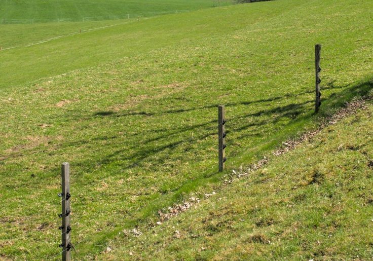 Koppel_Talweide_1600px__0290270Zuschnitt-768x515